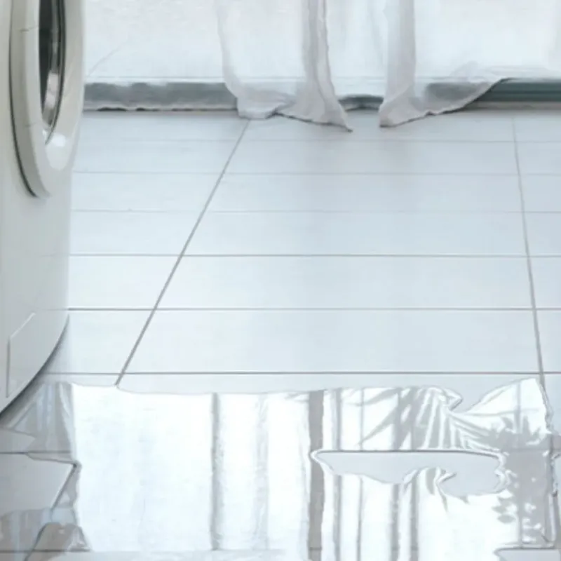 Appliance Leak Cleanup in Frenchville, ME