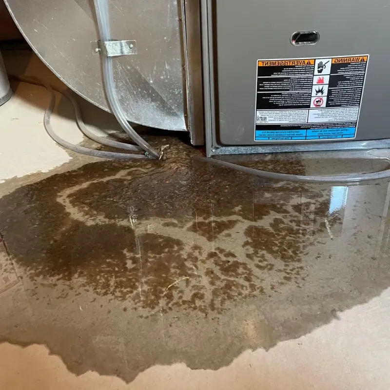 Pipe Burst and Leak Restoration in Frenchville, ME