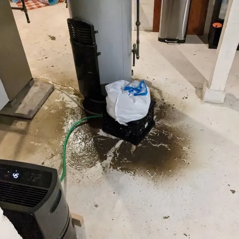 Sewage Backup Cleanup Service in Frenchville, ME